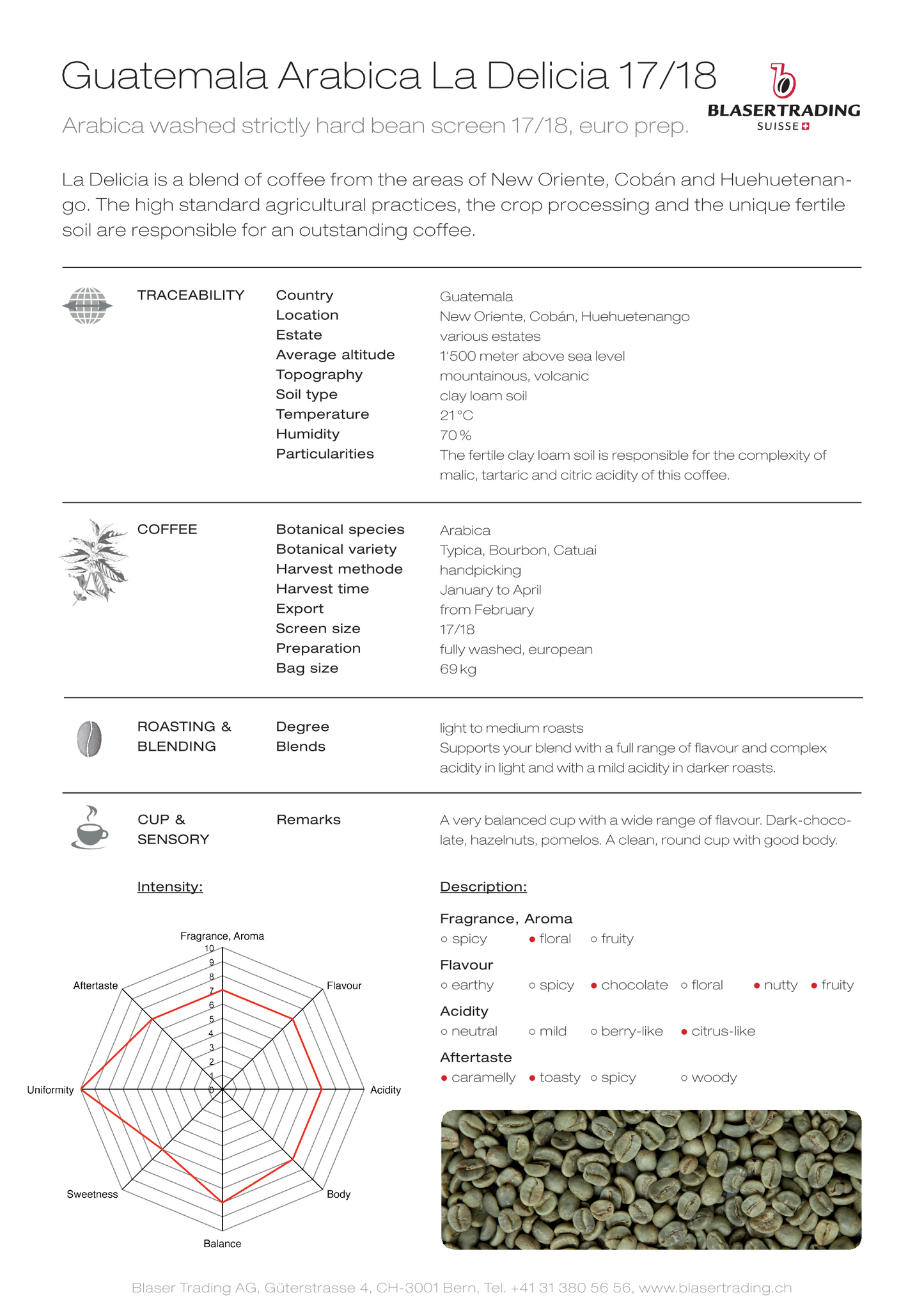 Guatemala, New Oriente - Arabica - Equitable et de production biologique - Lavé