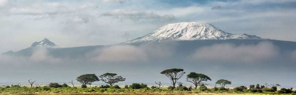 Kenya AA, Trans-Nzonia - Arabica - Equitable - Lavé