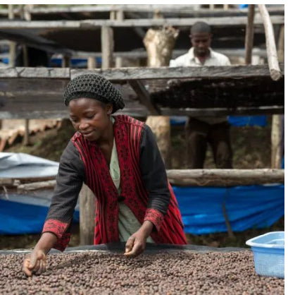 CASCARA Organic, D.R. Congo - Virunga - Natural