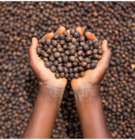 CASCARA Organic, D.R. Congo - Virunga - Natural
