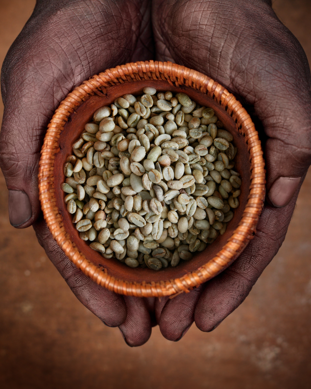 Ethiopie Sidamo VERT NON TORREFIE - Arabica grade 2 - Equitable et de production biologique - Lavé